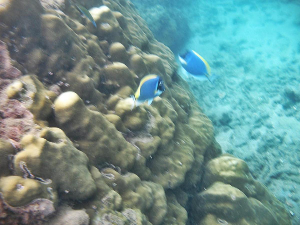 Giman Free Beach Resort Passikudah Dış mekan fotoğraf